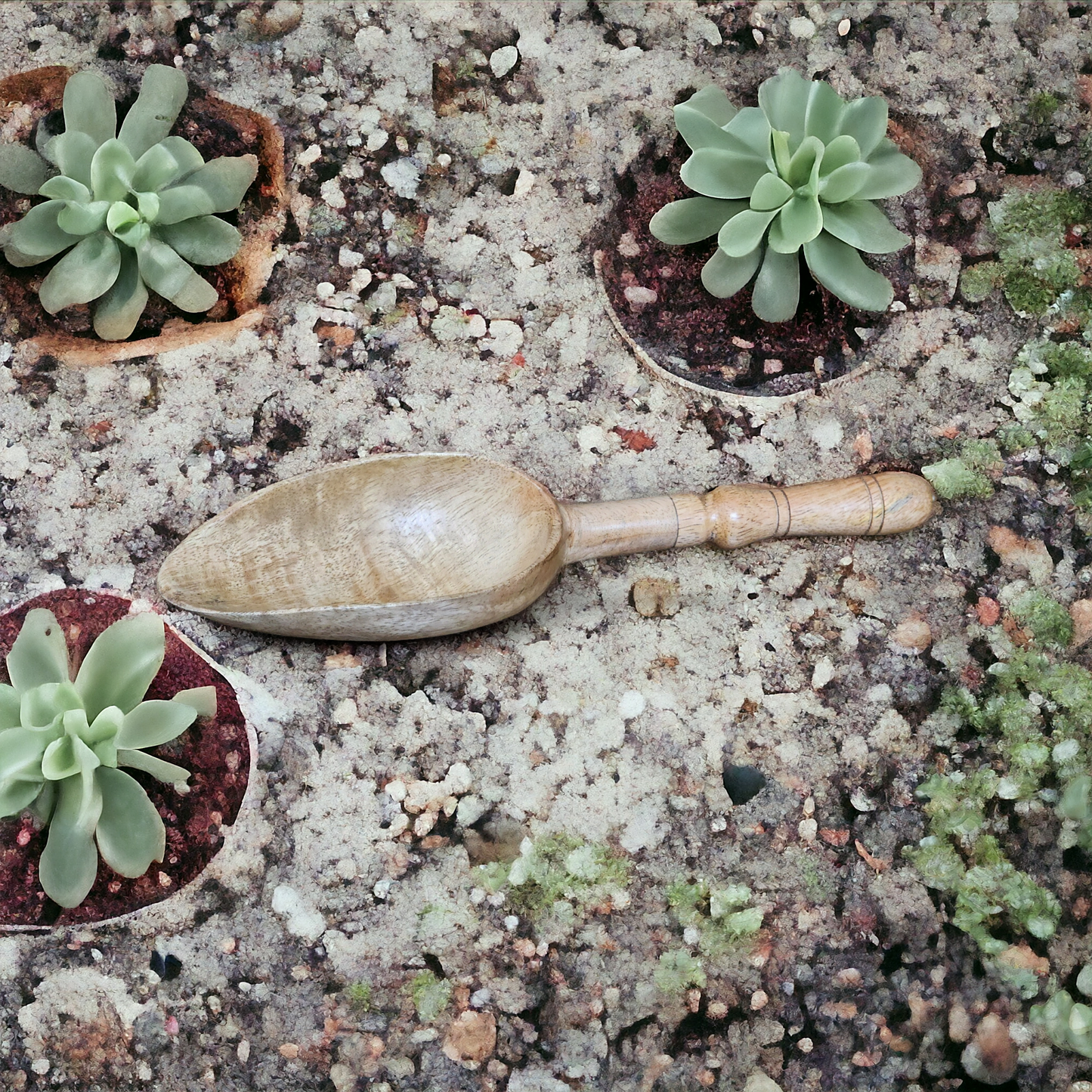 EcoScoop: Mango Wood Kitchen & Garden Scoop