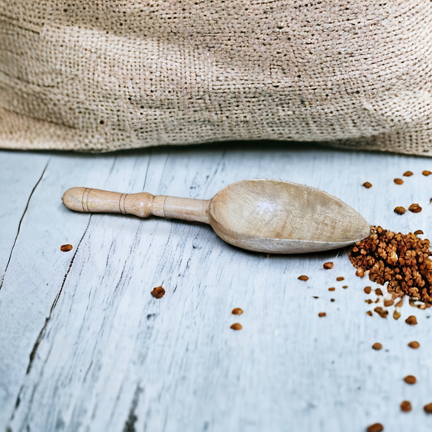 EcoScoop: Mango Wood Kitchen & Garden Scoop